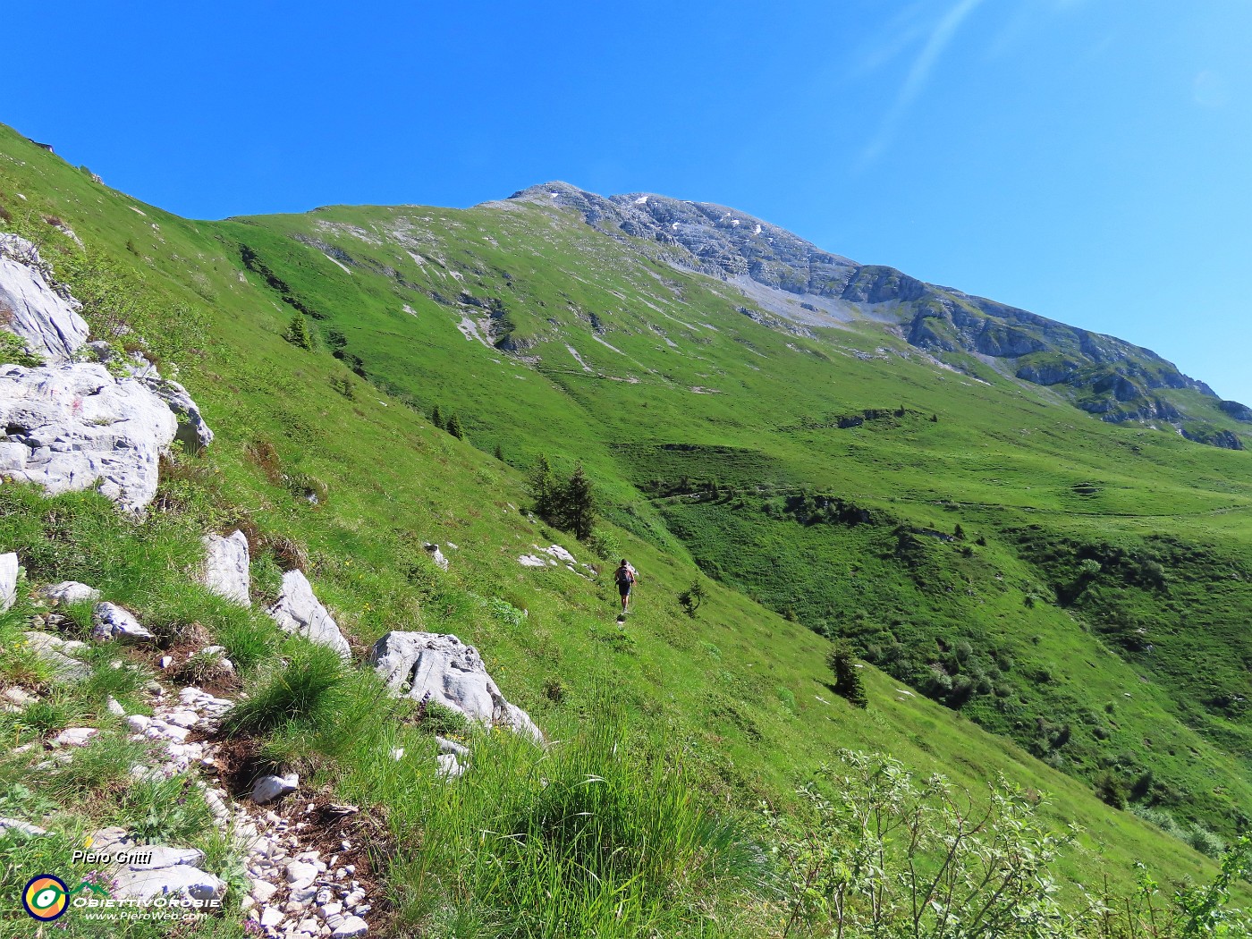 17 Sul sent. 237 in direzione Baita Zuccone con Arera.JPG